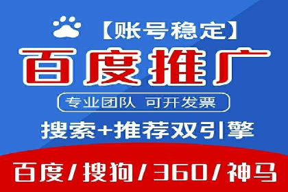 SEM代理案例：揭秘成功背后的秘密